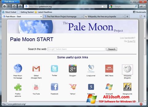스크린 샷 Pale Moon Windows 10
