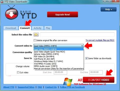 스크린 샷 YTD Video Downloader Windows 10
